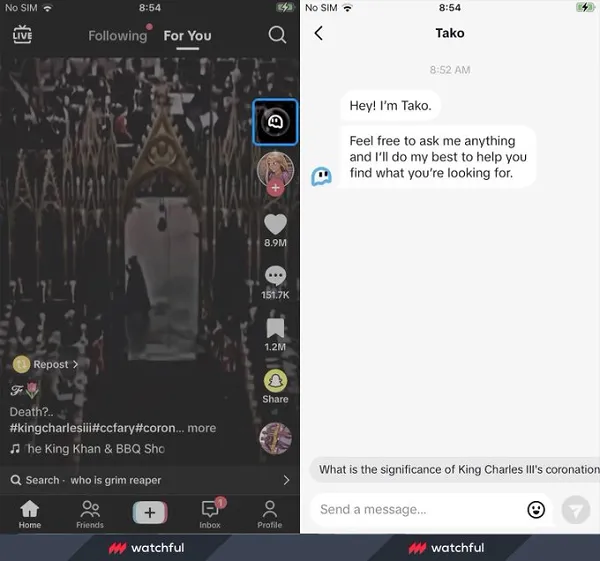 chatbot TikTok Tako AI